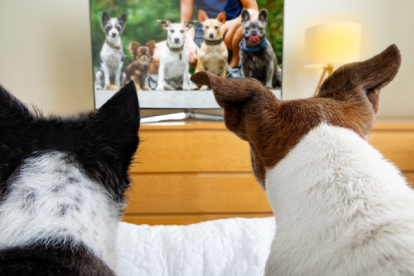 El movimiento en las pantallas fue un fuerte motivador para la atención en la pantalla