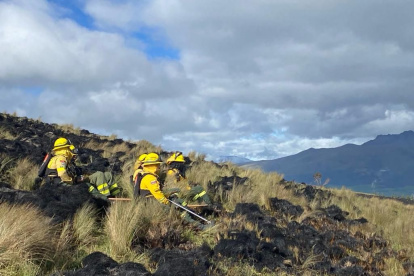 Las labores para apagar el incendio iniciaron desde el viernes 19 de enero