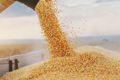 Industria.- El alimento balanceado que se produce en Ecuador.