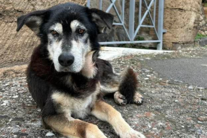 Pompeya "se despide de Argo".