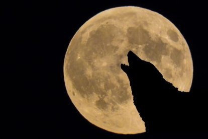 Descubre el origen de este nombre y la conexión cultural que lo hace tan especial.