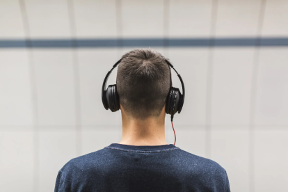 El sentido auditivo. Imagen referencial