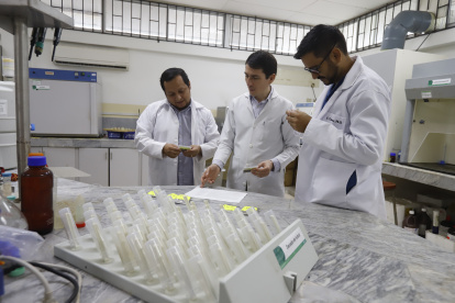 Expertos. Jonathan Coronel, Rómulo Salazar y Eduardo Chávez, en el Laboratorio de Suelo de la Espol.