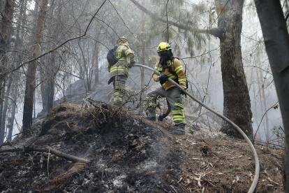 Bomberos trabajan en la extinción de un incendio este jueves 25 de enero de 2024, en el cerro El Cable, en Bogotá (Colombia).
