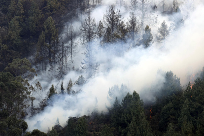 Fotografía de un incendio forestal hoy, en el cerro El Cable, en Bogotá (Colombia).