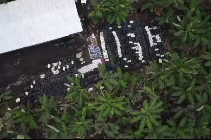 En esta toma área se ven los sembríos de plátanos alrededor del criadero de cerdos de la finca