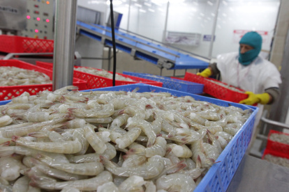 Las ventas de camarón sumaron los $ 6.665 millones hasta noviembre del 2023.