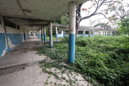 Infraestructura. La maleza ha crecido en diversas áreas del predio de Secap en Durán debido al abandono que sufre desde hace varios años.