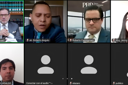 La audiencia de juicio fue telemática, según el juez, por la situación de inseguirdad.