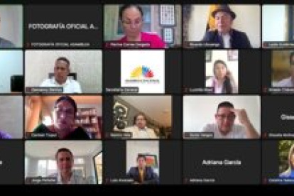La Comisión de Desarrollo Económico de la Asamblea sesionó de forma virtual.
