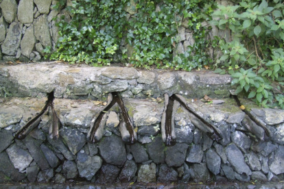 Vista del manantial de Los Chorros de Epina, en la isla canaria de La Gomera. EFE/Carlos Fernández