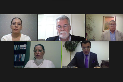 El pleno del Consejo Nacional Electoral sesionó de manera virtual.