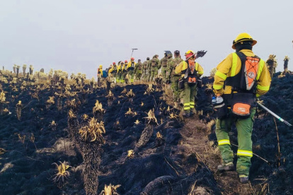 En coordinación interinstitucional más de 160 personas trabajan para controlar el incendio en la Reserva Ecológica El Ángel.