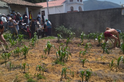 Los implicados realizaron el deshierbe de un terreno como parte del trabajo comunitario que deben cumplir.