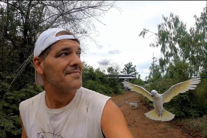 Frank Cuesta o Frank de la Jungla, es un naturalista, extenista, entrenador de tenis, presentador de televisión y youtuber