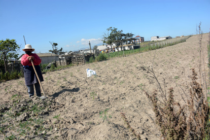 falta de agua ha generado problemas en desabastecimiento en distintos lugares de Quito.