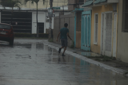 Las lluvias registradas este mes han jugado en contra del dengue. Hay criaderos de mosquitos y maleza que, a la vez, da cabida al insecto.
