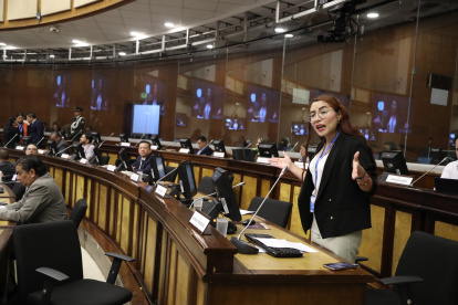 La legisladora oficialista y proponente del informe, Nathaly Farinango, increpó a los bloques que se oponen.