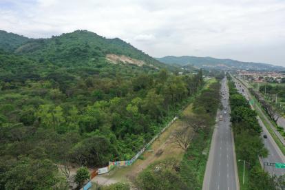 Protección. En Cerro Blanco habitan especies silvestres de todo tipo que ya, desde hace algunos años, se han visto afectadas por el desarrollo urbanístico desmedido y las canteras.