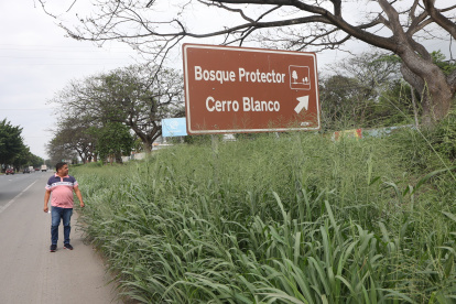 Dato. Seis mil hectáreas tiene el bosque protector Cerro Blanco, un espacio rico en flora y fauna.