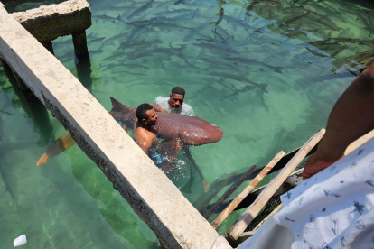 La preocupación apunta al estado en el que se encuentran las especies en cautiverio.