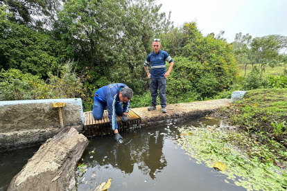 En las aguas contaminadas se han hecho una serie de pruebas desde la primera emergencia.