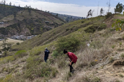 ‘En el programa Una Sola Salud de la Unidad de Bienestar Animal se trabaja en el control de plagas.