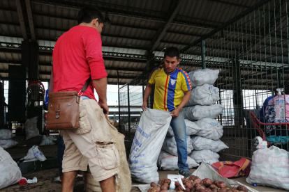 MERCADO | PERSONAS CARGANDO SACOS DE PAPA |