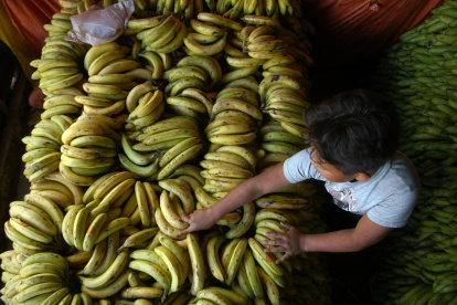 Vista de una carga de banano, en una fotografía de archivo.