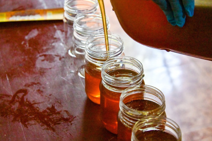 La miel que se produce en San Marcos se distribuye a diversas partes del país.