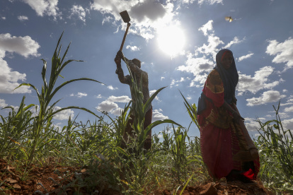 Panorama. Habitantes han visto la tierra de Somalia agrietada por la sequía y arrasada por las inundaciones