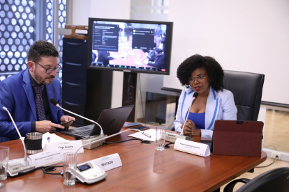 La asambleísta correísta Paola Cabezas preside la mesa de Garnatías Constitucionales.
