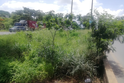 Hecho. Así permanecen algunos tramos de los parterres de vía a la costa.