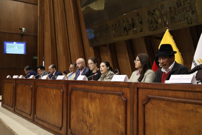 La Comisión de Fiscalización está presidida por la legisladora correísta Pamela Aguirre.