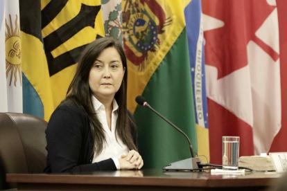 La activista y defensora de derechos humanos venezolana Rocío San Miguel, presidenta de la ONG Control Ciudadano.