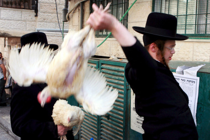 Un judío ultraortodoxo efectúa una parte del ritual "Kaparot" con un pollo vivo en el barrio de Mea Shearim en Jerusalén, Israel, antes del inicio de la fiesta judía del Yom Kipur (o Día del Perdón).