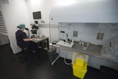 Investigadores de la Universidad Monash en Australia han desarrollado una técnica no invasiva de ultrasonidos que aumenta la movilidad de los espermatozoides humanos hasta un 266 %.