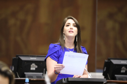 La legisladora protagonizó un incidente en la Comisión del caso Villavicencio.