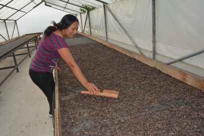 En el cantón Arrosemena Tola de la provincia del Napo las mujeres promueven la biodiversidad del ecosistema y se organizaron para cultivar el cacao con valor de exportación.