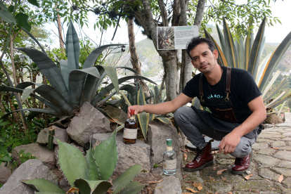 Diego junto a los pencos