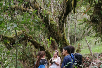El premio es uno de los más prestigiosos en el ámbito del turismo responsable.