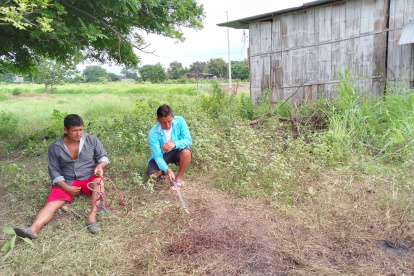 Impotencia. Polo Ortega y su hijo lamentaban el robo de sus caballos.