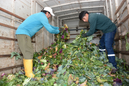 Recolección. Los productos que ya no se venden son direccionados a los proyectos agrícolas.