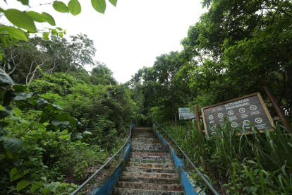 Naturaleza. Apuntar a los espacios como el cerro Paraíso para el desarrollo de senderismo y avistamiento de especies de flora y fauna es una de las opciones sugeridas por expertos.