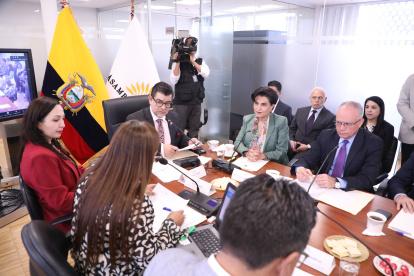 Gabriela Sommerfeld en la Comisión de Transparencia.