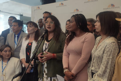 Se plantea votar el proyecto por secciones.