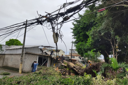 Especie. Cables e inmuebles quedaron afectados tras el desplome.