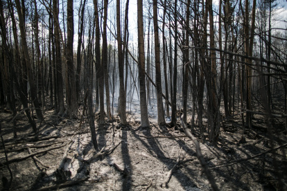 En la imagen se observan los estragos de un incendio forestal en Fort McMurray (Alberta, Canadá).