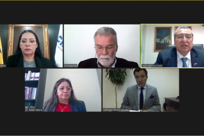 Captura de pantalla de transmisión de la sesión del CNE