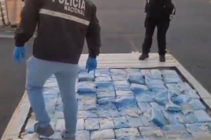 El alcaloide se encontraba dentro de un contenedor.